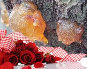 Infused Softening Balm Amber Rose